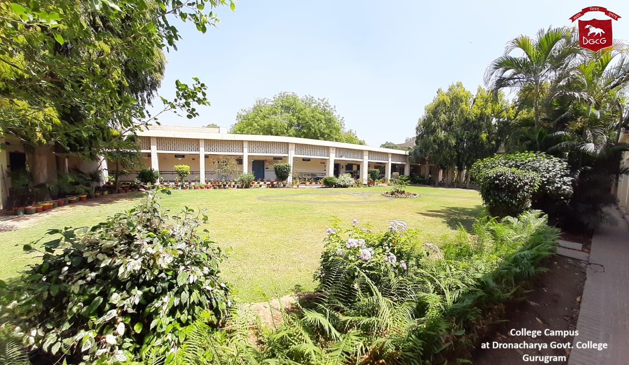College Banner 1